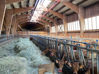 Ferme de la Marmotte en Bauges à La Motte-en-Bauges