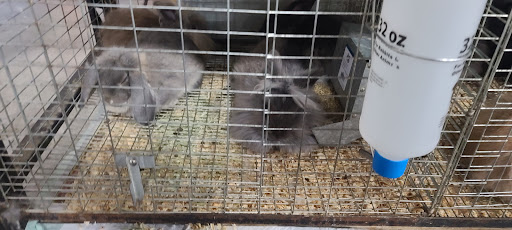 Department Store «Rural King», reviews and photos, 801 Cr-1510-10, Owensboro, KY 42303, USA