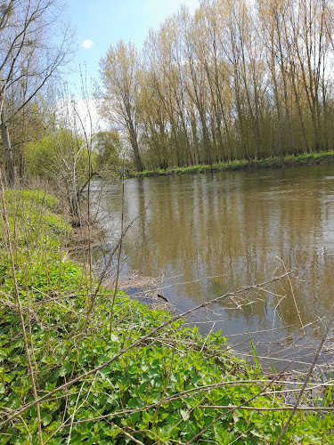 Saumur, Le Thouet à Saumur