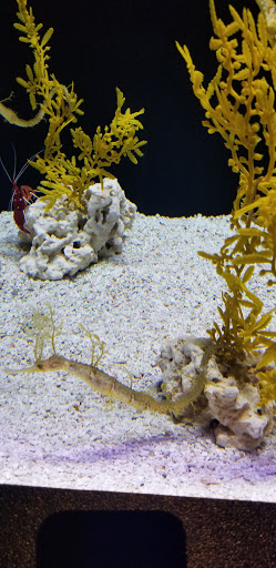 Tropical Fish Store «Cincinnati Aquarium Design», reviews and photos, 6475 E Galbraith Rd # B, Cincinnati, OH 45236, USA