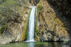 Jharipani Waterfall image