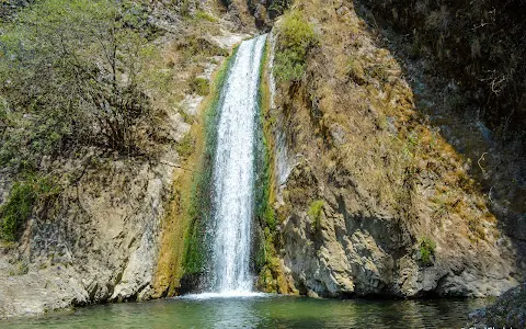 Jharipani Waterfall image