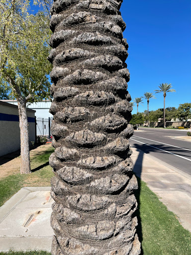 Self-Storage Facility «Thunderbird Mini Storage», reviews and photos, 12800 N 94th Dr, Peoria, AZ 85381, USA