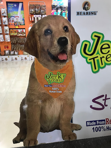 Naughty Dogs | Best Dog Shop In Jaipur