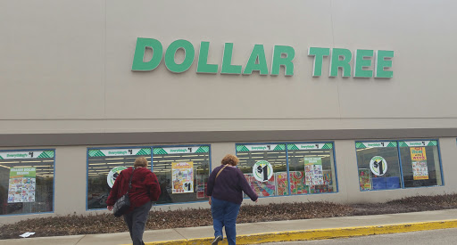 Dollar Store «Dollar Tree», reviews and photos, 723 W State Rte 22, Lake Zurich, IL 60047, USA