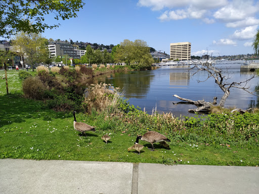 History Museum «Museum of History & Industry (MOHAI)», reviews and photos, 860 Terry Ave N, Seattle, WA 98109, USA