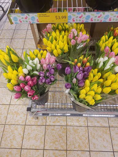 Supermarket «ALDI», reviews and photos, 18867 E 9 Mile Rd, Eastpointe, MI 48021, USA