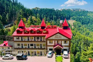 Hotel Shimla Hills International image