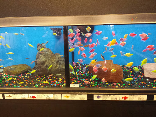 Pet Supply Store «Pet Valu», reviews and photos, 1525 Genntown Dr, Lebanon, OH 45036, USA