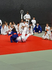 Judo Club Erandio Fundación Jado Kalea, 10bis, 2º y 3º, 48950 Altzaga, Bizkaia, España