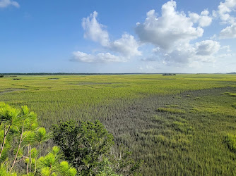 Marsh Island Park View Tower