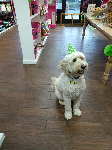 Pet Groomer «Woof Gang Bakery & Grooming Bridgewater», reviews and photos, 732 US-202 #130, Bridgewater, NJ 08807, USA