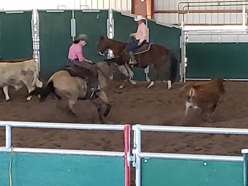 Park «Horseshoe Park & Equestrian Centre», reviews and photos, 20464 East Riggs Road, Queen Creek, AZ 85142, USA
