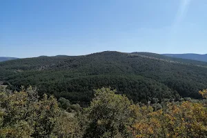 Akdağmadeni Şehitler Ormanı image