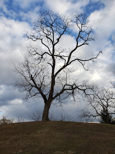 Park «Croton Point Park», reviews and photos, 1 Croton Point Ave, Croton-On-Hudson, NY 10520, USA