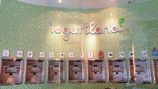 Yogurtland, 6851 Amador Plaza Rd # 102, Dublin, CA 94568, USA, 