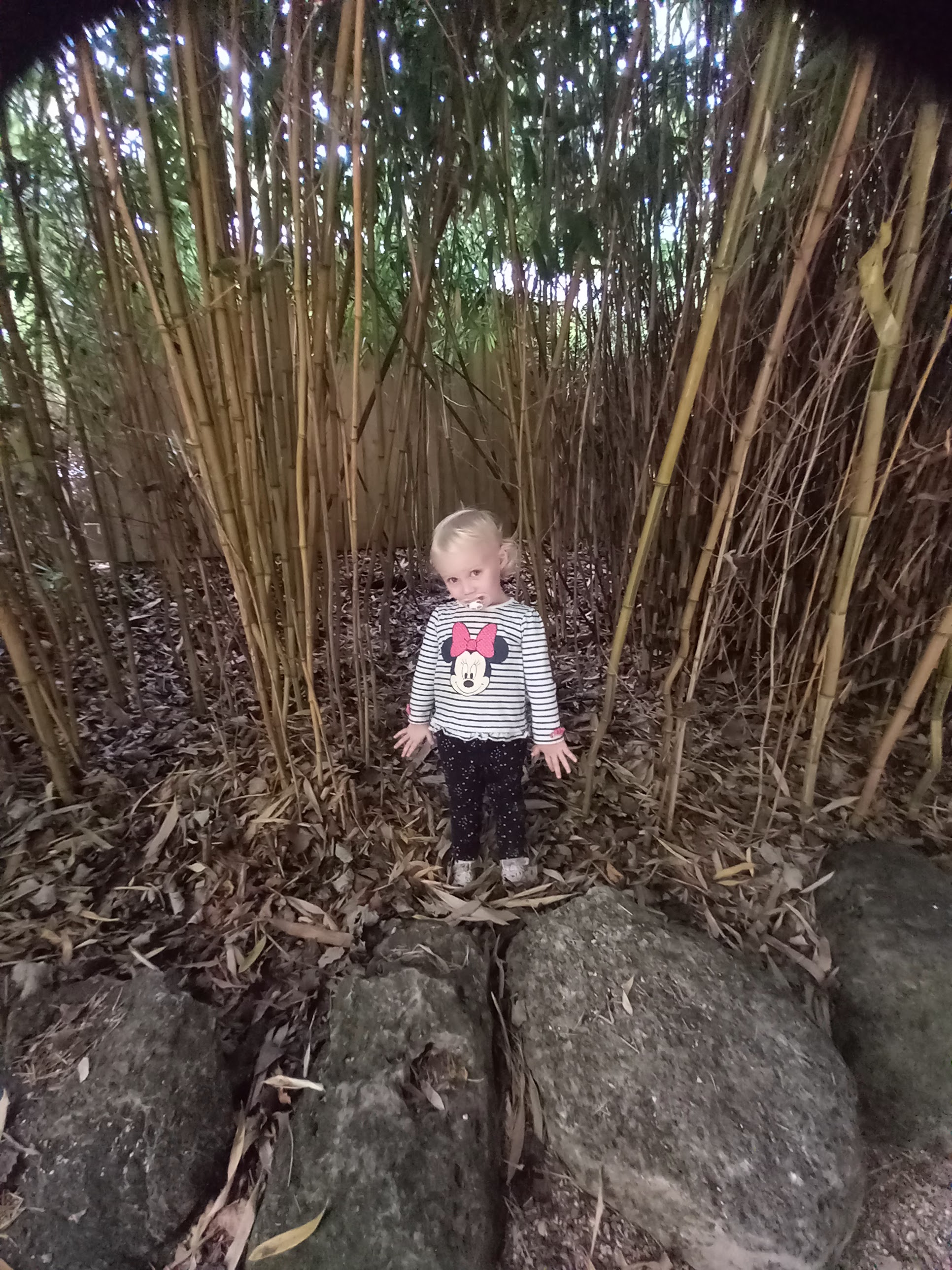 Photo n° 15 de l'avis de Julien.a fait le 11/10/2023 à 18:47