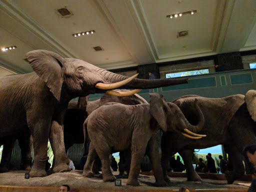 National Museum «National Museum of the American Indian», reviews and photos, 1 Bowling Green, New York, NY 10004, USA