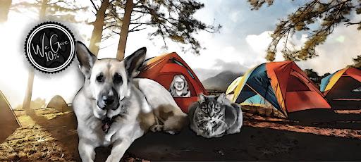 Pet Supply Store «theDogWorks/cats2», reviews and photos, 195 Thurman Ave, Columbus, OH 43206, USA