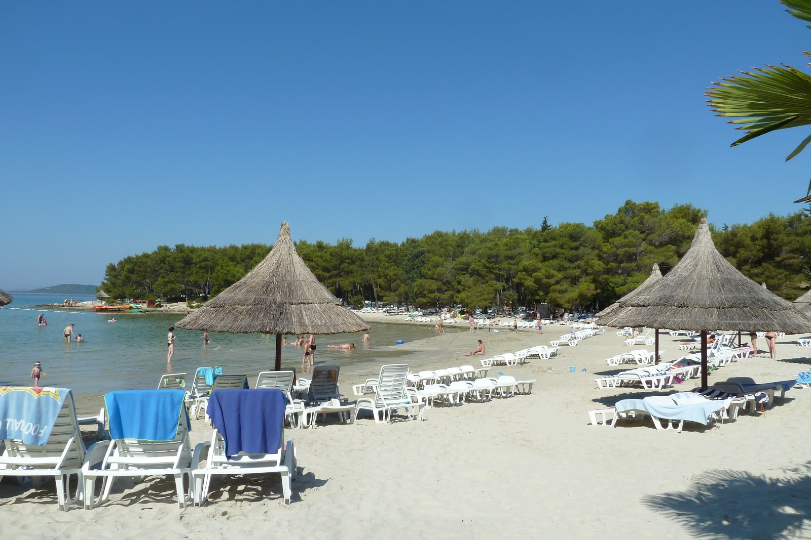 Pine beach photo #8