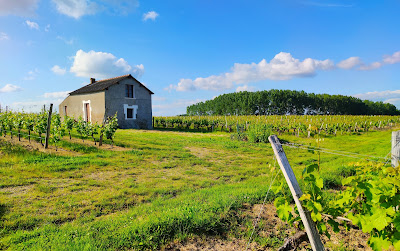 Domaine Des Chapelles - Famille BRAULT à Bellevigne-en-Layon