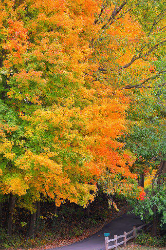 Golf Club «Fellows Creek Golf Course», reviews and photos, 2936 S Lotz Rd, Canton, MI 48188, USA