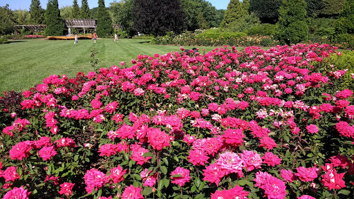 Botanical Garden «Chicago Botanic Garden», reviews and photos, 1000 Lake Cook Rd, Glencoe, IL 60022, USA