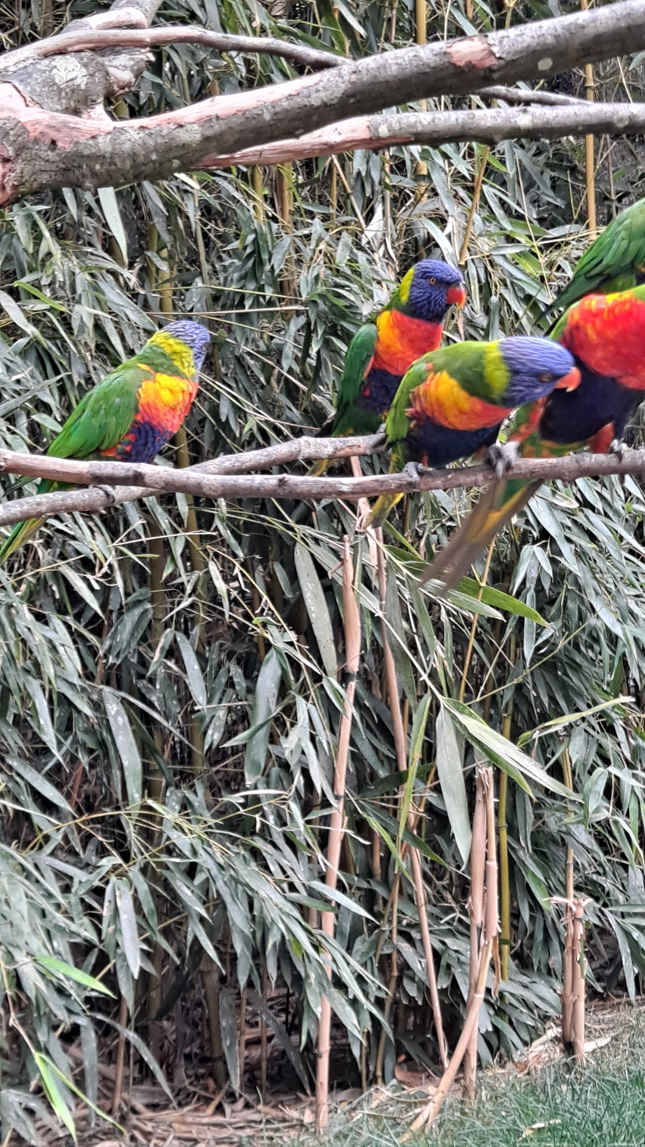 Photo n° 3 de l'avis de ///.u fait le 05/05/2023 à 16:25