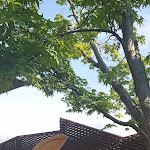 Photo n°1 de l'avis de Aicha.i fait le 24/05/2021 à 16:27 sur le  In Croissanteria Lab à Carobbio degli Angeli