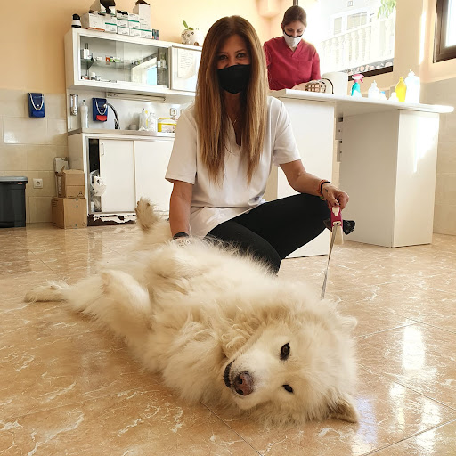 Clínica Veterinaria The Quiñon en Seseña