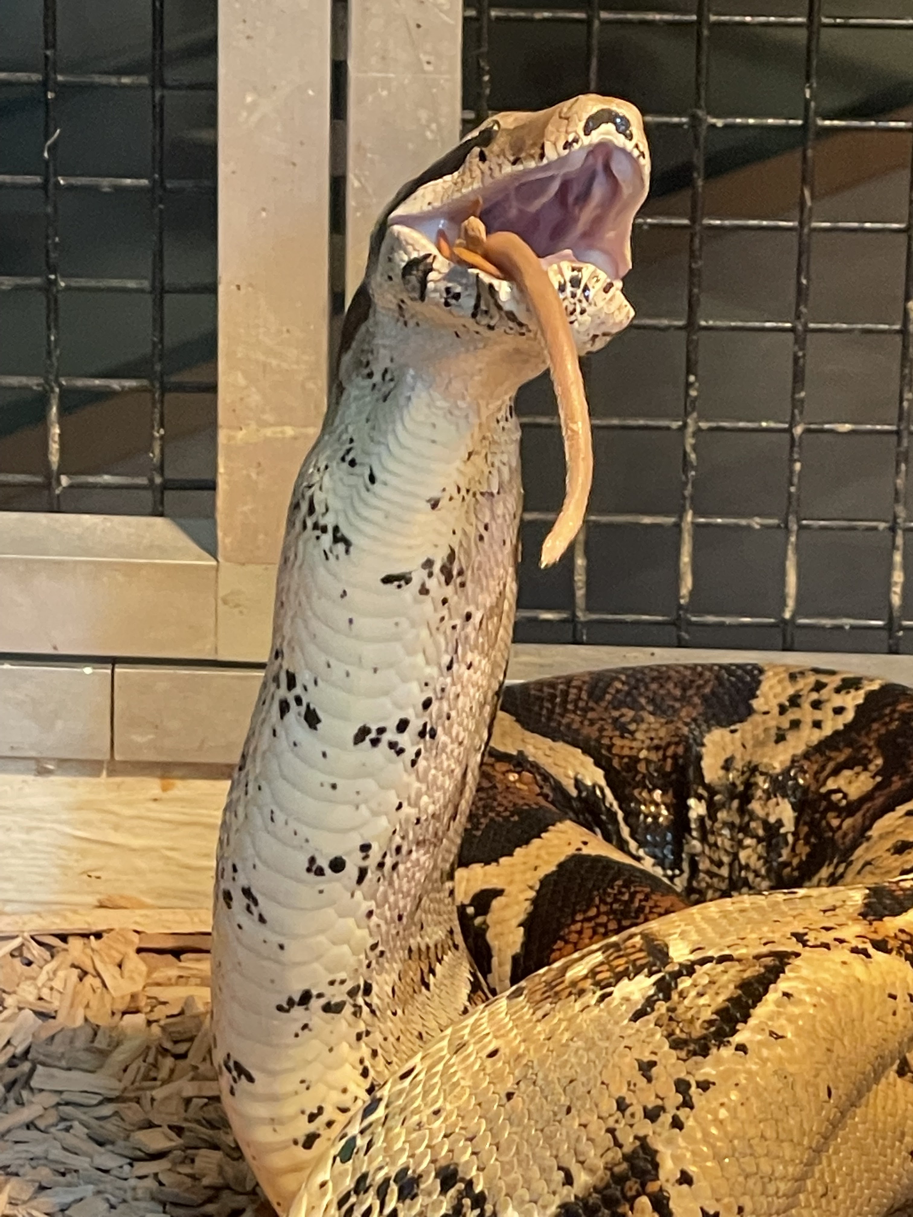 Photo n° 3 de l'avis de joel.u fait le 22/09/2021 à 14:33