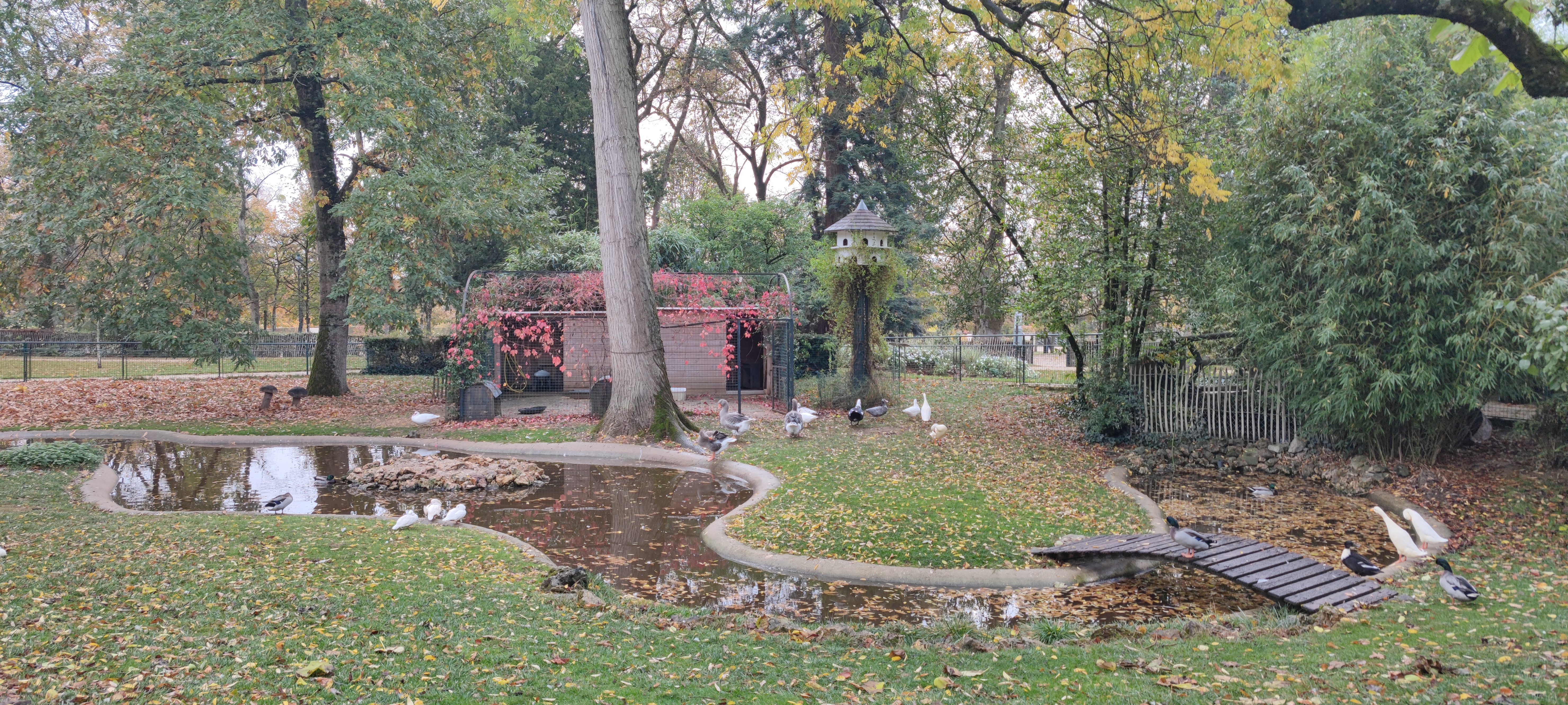 Photo n° 3 de l'avis de Pierre.e fait le 30/10/2021 à 13:00