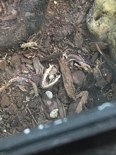 Pet Supply Store «Coastline Pet Supply», reviews and photos, 3530 Northgate Dr, Myrtle Beach, SC 29588, USA