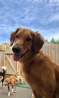 Barkmore In The Country, Inc - Car repair in Ooltewah, TN, Chattanooga - Rated 4.5/5