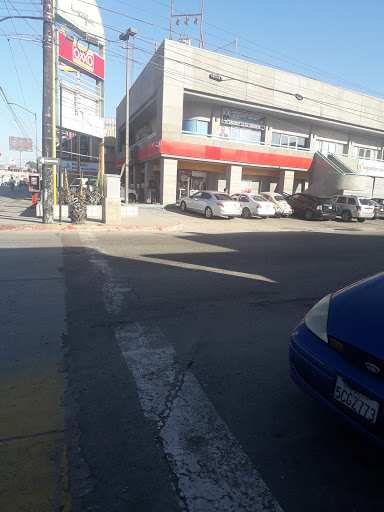 Cuban lawyers in Tijuana