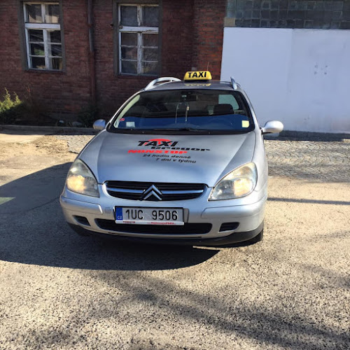 Recenze na Taxi Gregor Lenešice s.r.o. v Ústí nad Labem - Taxislužba
