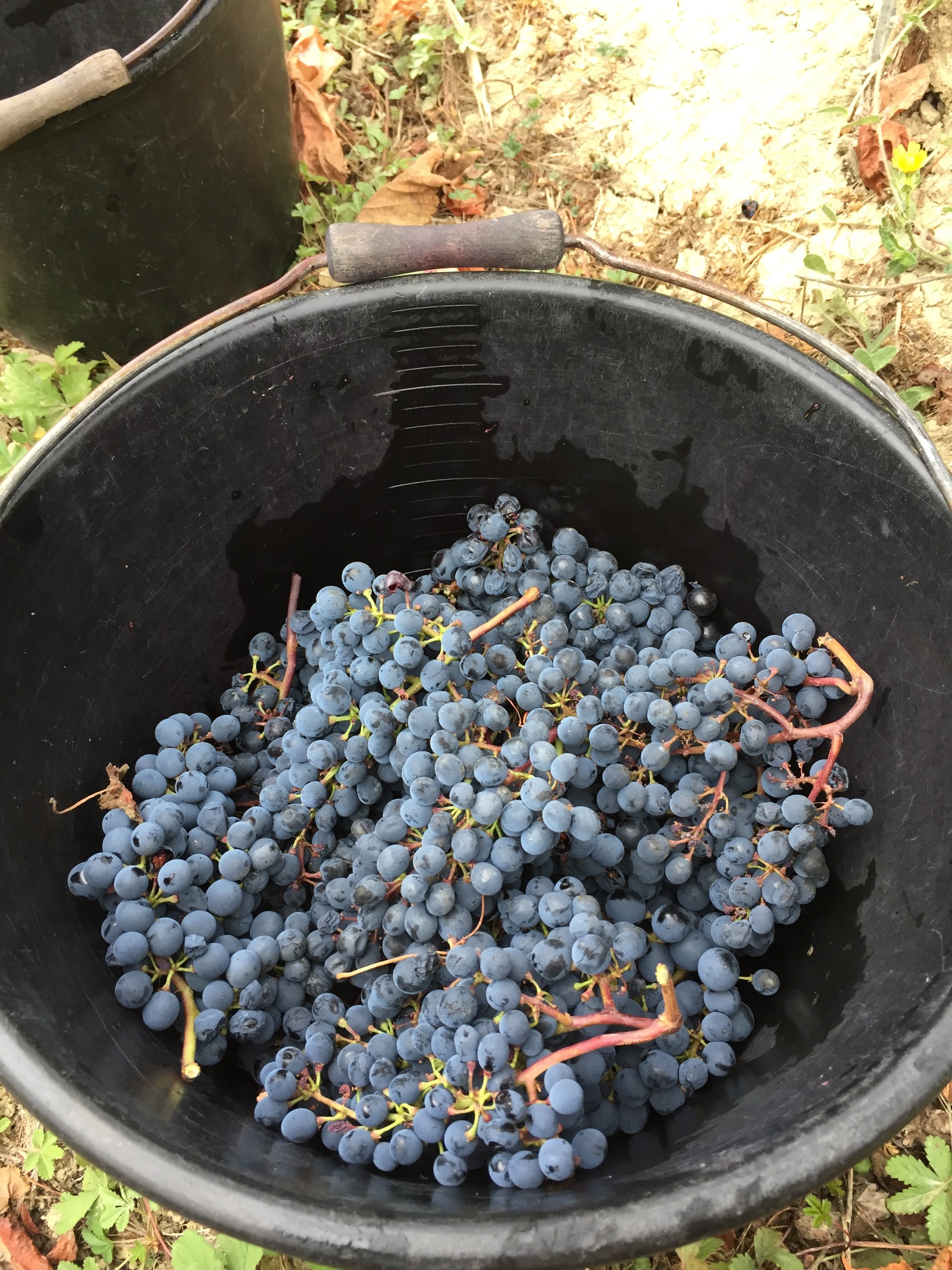 Photo n° 6 de l'avis de Tom.o fait le 03/10/2017 à 13:48