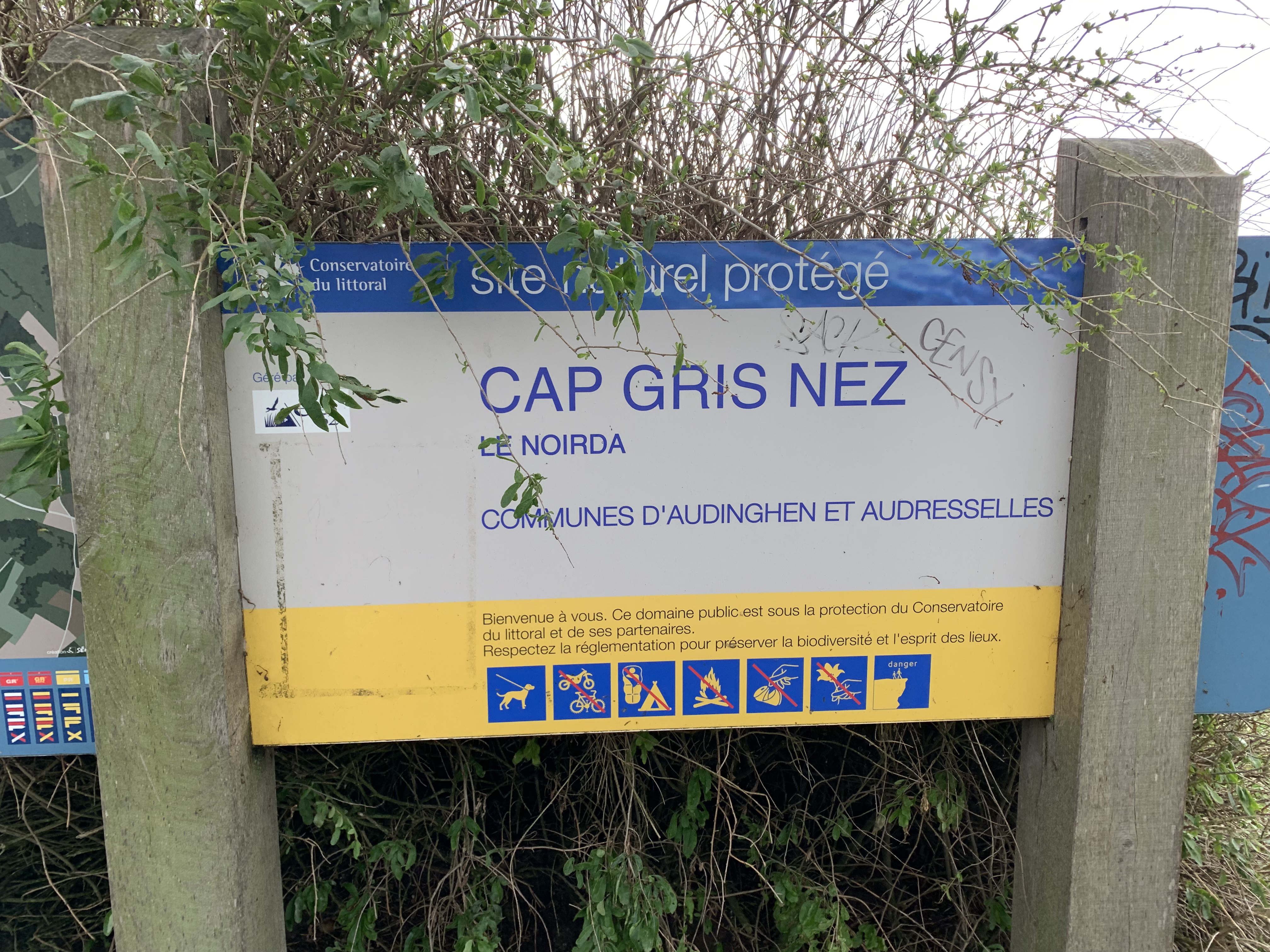Photo n° 1 de l'avis de Pat.a fait le 01/11/2022 à 15:17