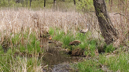 Non-Profit Organization «Aldo Leopold Nature Center», reviews and photos, 330 Femrite Dr, Madison, WI 53716, USA