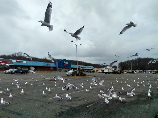 Shopping Mall «Sussex County Mall», reviews and photos, 15 Hampton House Rd, Newton, NJ 07860, USA