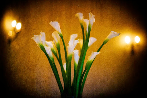 Wedding Planner «Shay Brown Events - The Southern Wedding Experience», reviews and photos, 80 Broadway, Asheville, NC 28801, USA