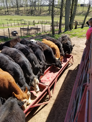 Farm «Warbington Farms (U-Pick Strawberries)», reviews and photos, 5555 Crow Rd, Cumming, GA 30041, USA