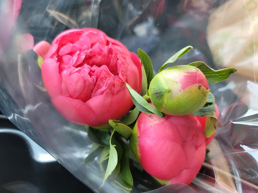 Grocery Store «The Fresh Market», reviews and photos, 5920 Red Bug Lake Rd, Winter Springs, FL 32708, USA