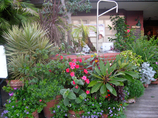 Seafood Restaurant «Fish Market Restaurant», reviews and photos, 750 N Harbor Dr, San Diego, CA 92101, USA