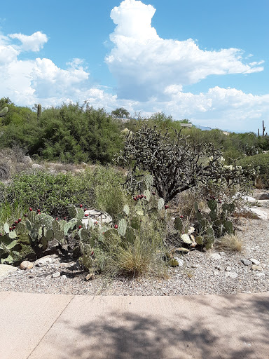 Country Club «Ventana Canyon Golf & Racquet Club», reviews and photos, 6200 N Club House Ln, Tucson, AZ 85750, USA