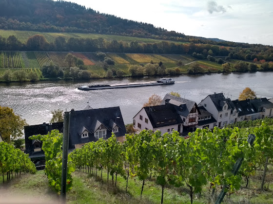 Extérieur Ferienwohnung Ferienwohnung Mosel, Familie Erbes 56856 Zell
