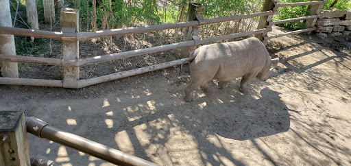 Golf Course «Swope Memorial Golf Course», reviews and photos, 6900 Swope Memorial Dr, Kansas City, MO 64132, USA