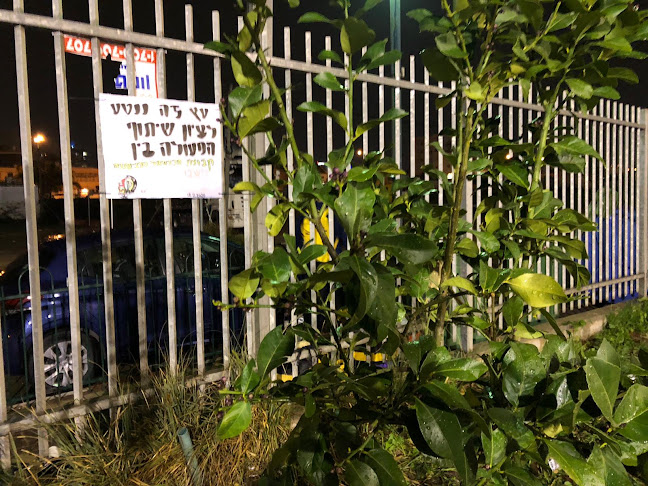 שבט בזק הצופים - אגודה