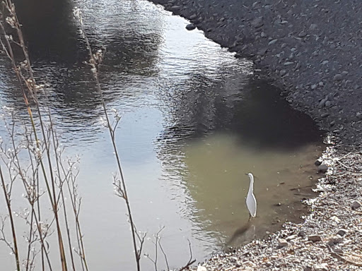 Park «Los Gatos Creek County Park», reviews and photos, 1250 Dell Ave, Campbell, CA 95008, USA