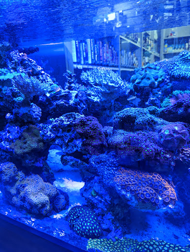 Aquarium «Aquatic Design & Development Group, LLC», reviews and photos, 1725 SW 17th St, Ocala, FL 34471, USA